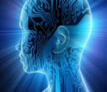 What is Irlen Syndrome  / Scotopic Sensitivity Syndrome (SSS)? brains